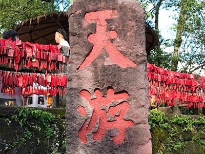 踏青山聚同心，必源環(huán)保武夷山團(tuán)建之旅圓滿收官！